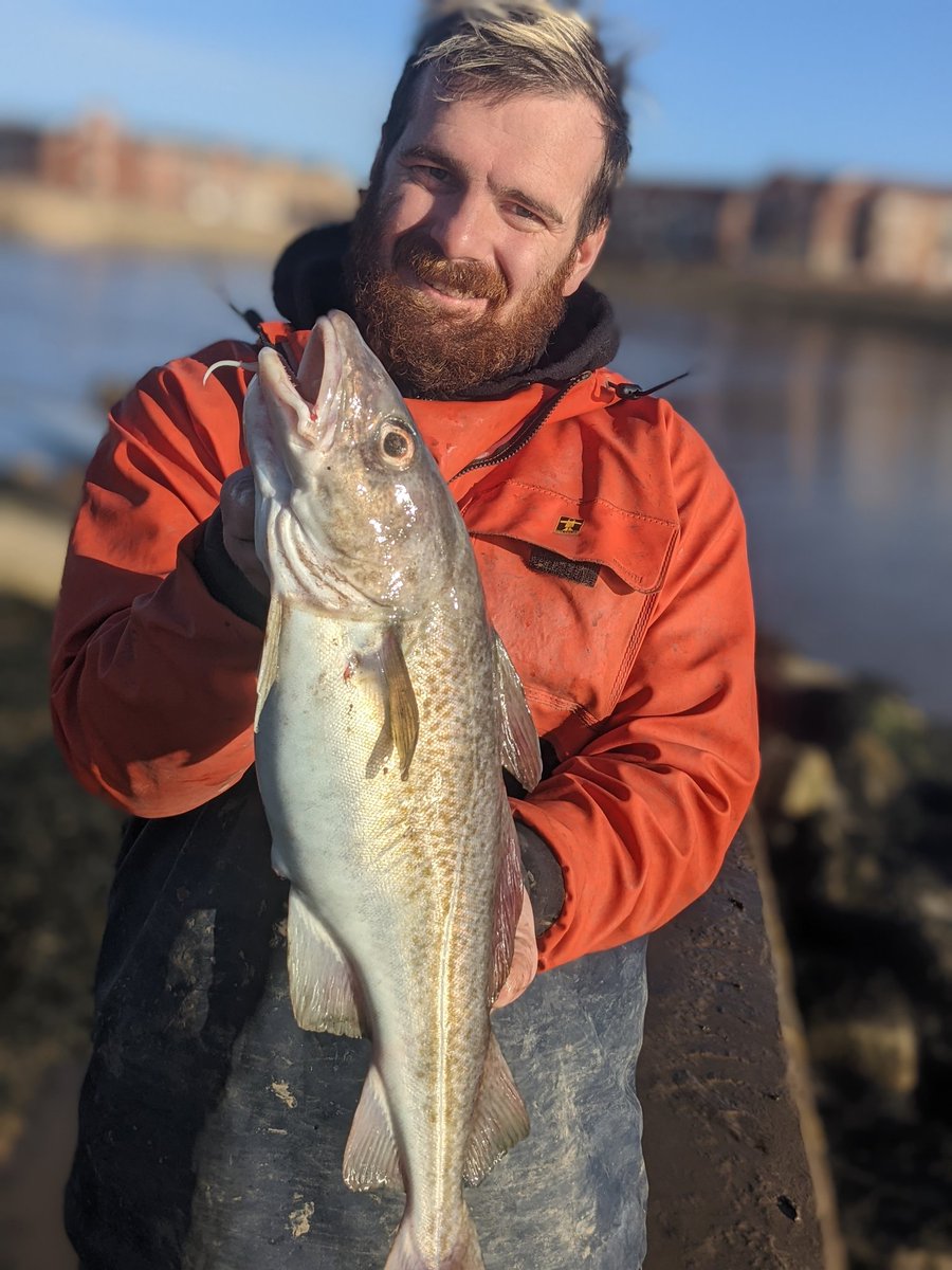 NathanPickers's tweet photo. #Coding #cod #seafishing #ijustwanttogofishing #needtogwtfittogetonthemrockmarks #seaangler https://t.co/pfjU9XGdw1
