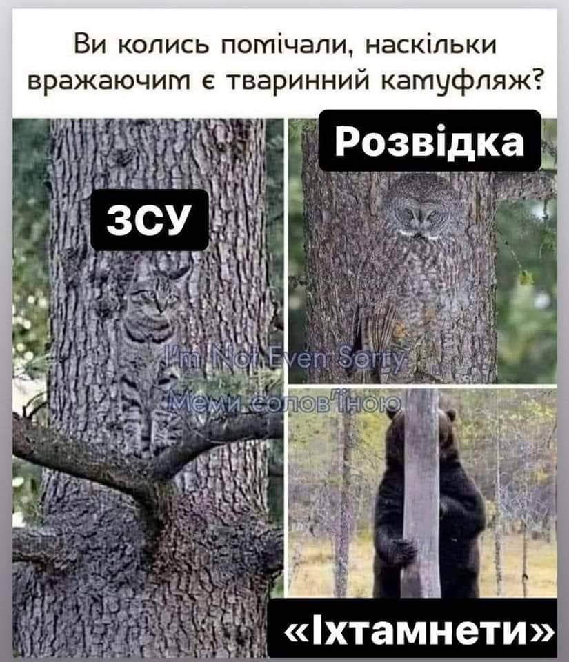nevedimka123's tweet photo. https://t.co/GLl17yxWSV