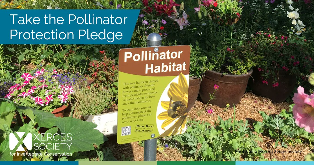 xercessociety's tweet photo. When it comes to New Year’s resolutions, we like ‘em easy and impactful. Xerces' #Pollinator Protection Pledge fits the bill. Would you like to join us? Visit https://t.co/IbmuFmSYyB to get started. https://t.co/uBNxldsckS