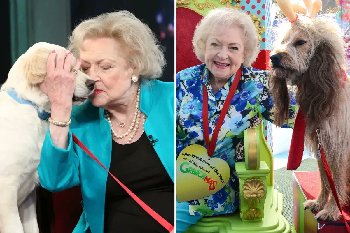 KindnessCo's tweet photo. People from all walks of life fondly recount the kind acts of the great Betty White
via @TheSun 
https://t.co/ZRMXq0qQPQ https://t.co/8kwUhieh5z