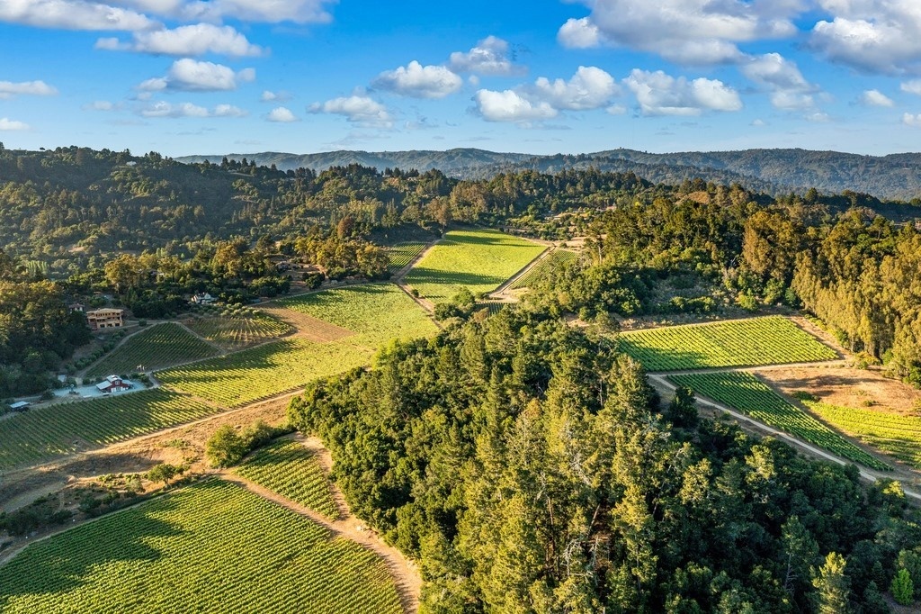 If your New Year's Resolution is to try something new, we know just the place for you to start. The Santa Cruz Mountains wine region offers premium, terroir-driven wines; intimate yet laid-back tastings with stunning panoramic views of the valley and Coastal Redwoods.
