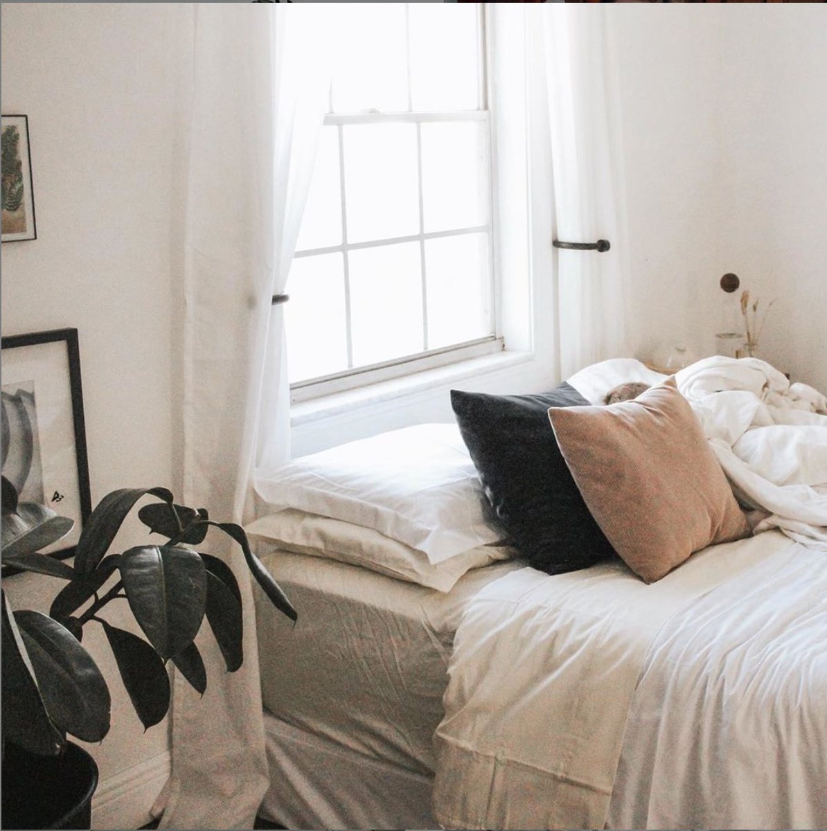 MellanniLinens's tweet photo. A great way to welcome the new year is to let the sunshine in to the window! 🌤️ Have a blissful morning!

📸 @ourslowmements https://t.co/RST3BjZt8s