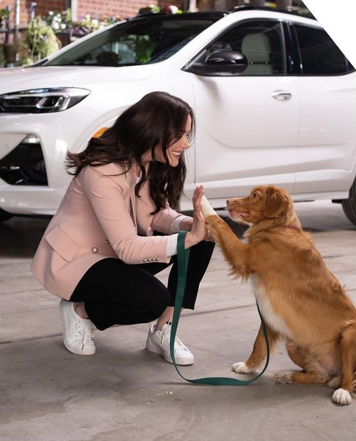 VMinwaiting18's tweet photo. It's Tessa Tuesday. 

A man's best friend is also a woman's, and see how Tessa and Zoey are an indication of the wisdom of the adage.

#faithfulfriends
#tessatuesday #ducktollingretriever https://t.co/bx9NbCnV9c