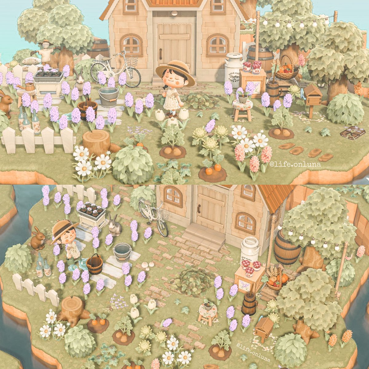 home sweet home 🤍 plus some lavender 🌿 
#acnh #animalcrossing #acnhinspo