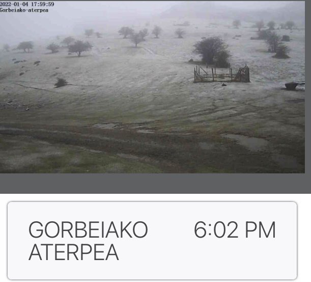Vuelve la nieve a casa, empieza a blanquear en el refu de Gorbeia (1070m).