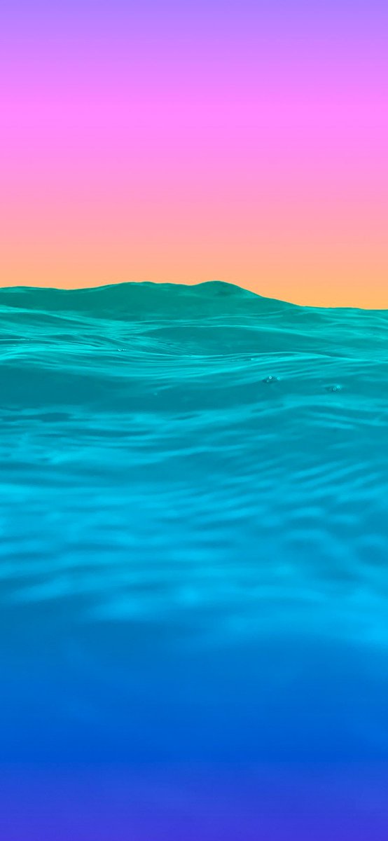 T01DCᵍᵐ tweet media