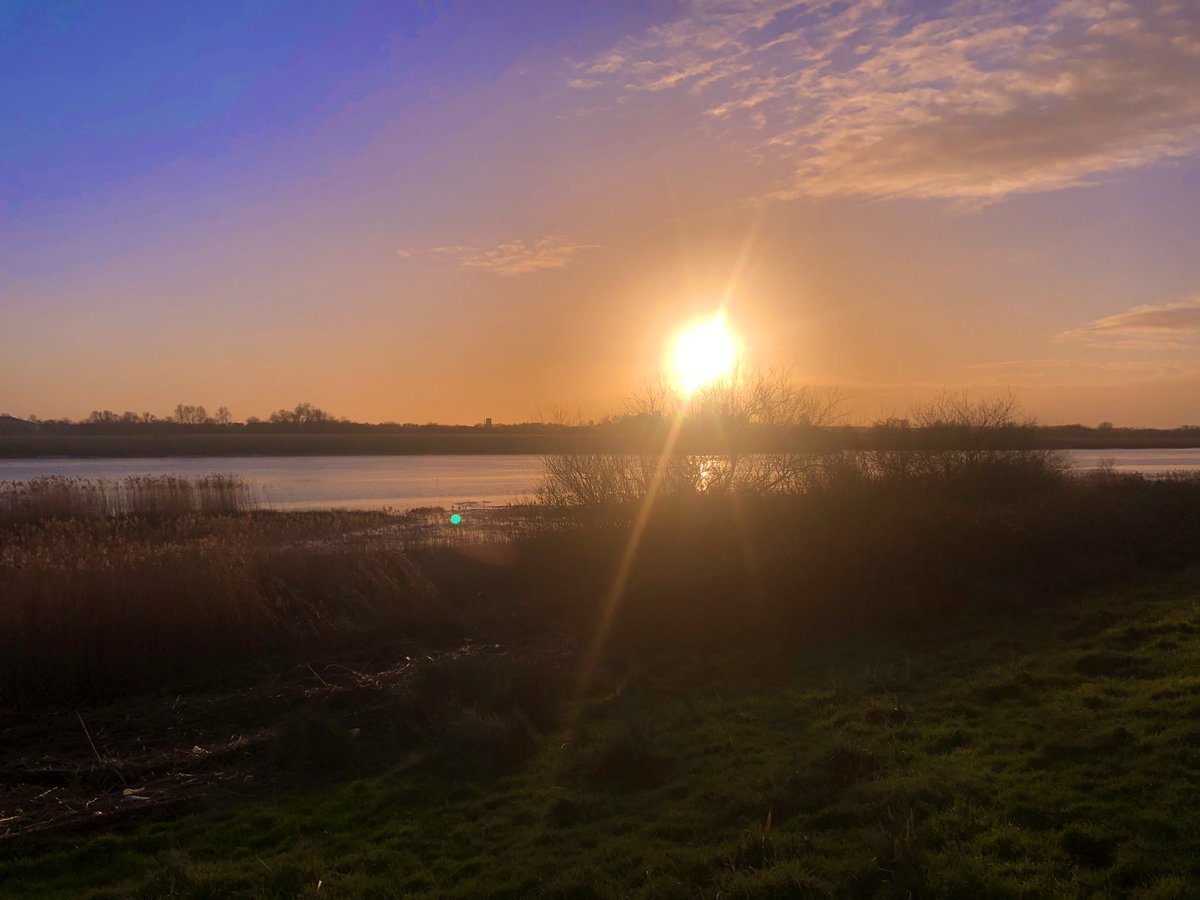 Lovin Limerick tweet media