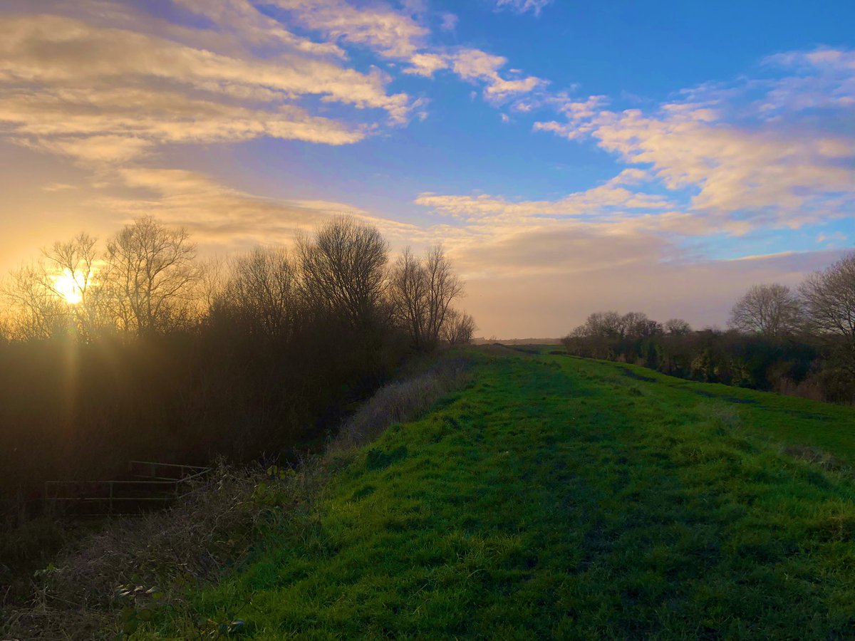 Lovin Limerick tweet media