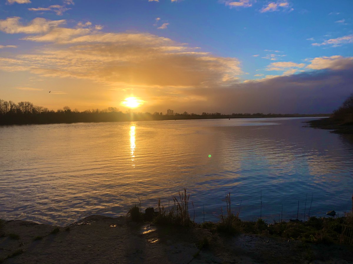 Lovin Limerick tweet media