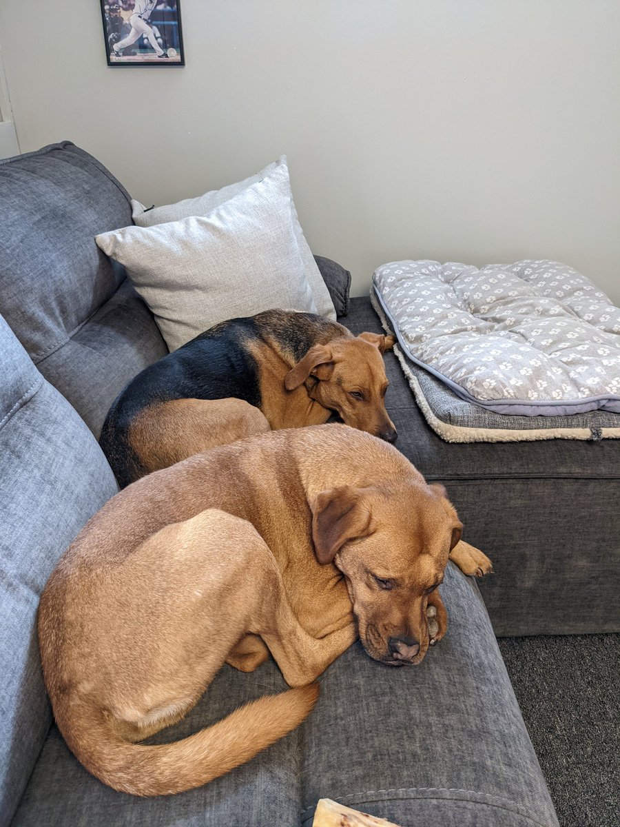 Bring your kids to work day <a href="/WeehawkenTSD/">Weehawken Schools</a> <a href="/DeStefanoEDU/">Dr. Nicholas J. DeStefano</a>