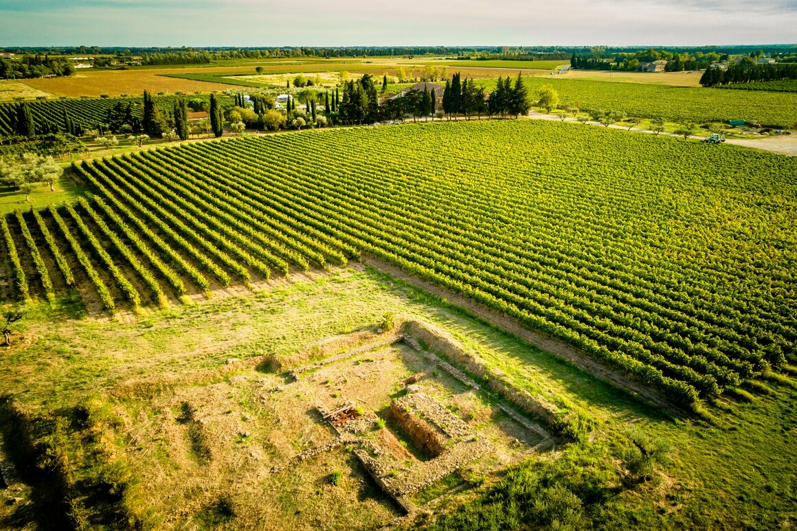 Sarah404BC's tweet photo. Why Winemakers Are Adding Seawater to Their Wines -
Durand’s family estate stands atop the remains of a Gallo-#Roman villa & also mixes honey for #Mulsum enjoyed by Carenum, whose recipe was left to posterity by poet Rutilius Taurus Aemilianus Palladius
https://t.co/b8heN0Nxd8 https://t.co/ZCjJ78n1CX