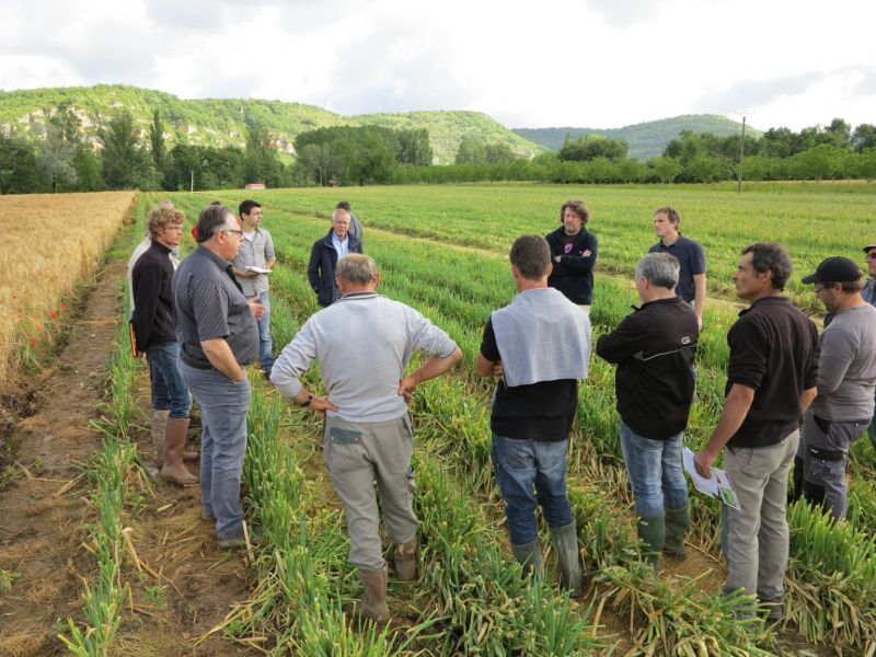 ChambagriFrance's tweet photo. 🚜👩‍🌾 Les #ChambAgri, n°1 de la capitalisation de la R&amp;D agricole, avec 61% des projets recensés sur la plateforme https://t.co/fUIiXkeO1h
➡️Cette plateforme centralise les productions des organismes de recherche et de développement financés par CasDAR.
🔗https://t.co/ZJfEOd2O9q https://t.co/Um3Goxcnhm
