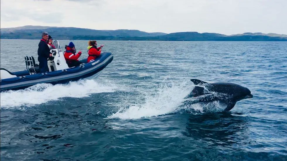 ribcraft's tweet image. We love seeing photos from our clients and hearing about their #RibcraftAdventures 

Geoff and his family are celebrating 22 years with their Ribcraft 5.85 PRO. Check out the full story on our Facebook page!