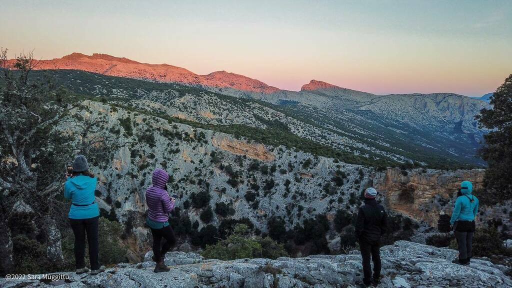 viaggiosardegna's tweet photo. Abbiamo salutato l’ultimo giorno dell’anno abbracciando l’alba.
Su Suercone 31/12/2021
Emozioni in Supramonte.
🥾
#viaggioinsardegna
#Sardegna
#SuSuercone
#SuSielhone
#Supramonte
#Orgosolo
#Hikingexperience
#guidaescursionistica
#Supramontes
#trekkin… https://t.co/gHKrXwsouw https://t.co/FmSCd7IwrT