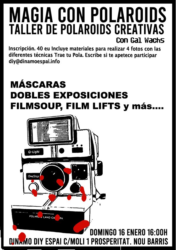dinamoespai's tweet photo. Properes activitats! https://t.co/XkZHQX2g8M