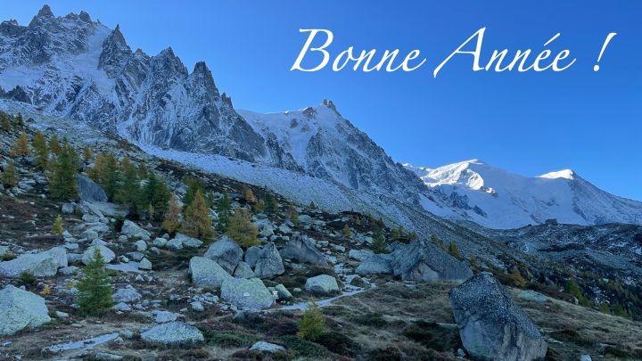 Chamonix Alpinisme UNESCO tweet media
