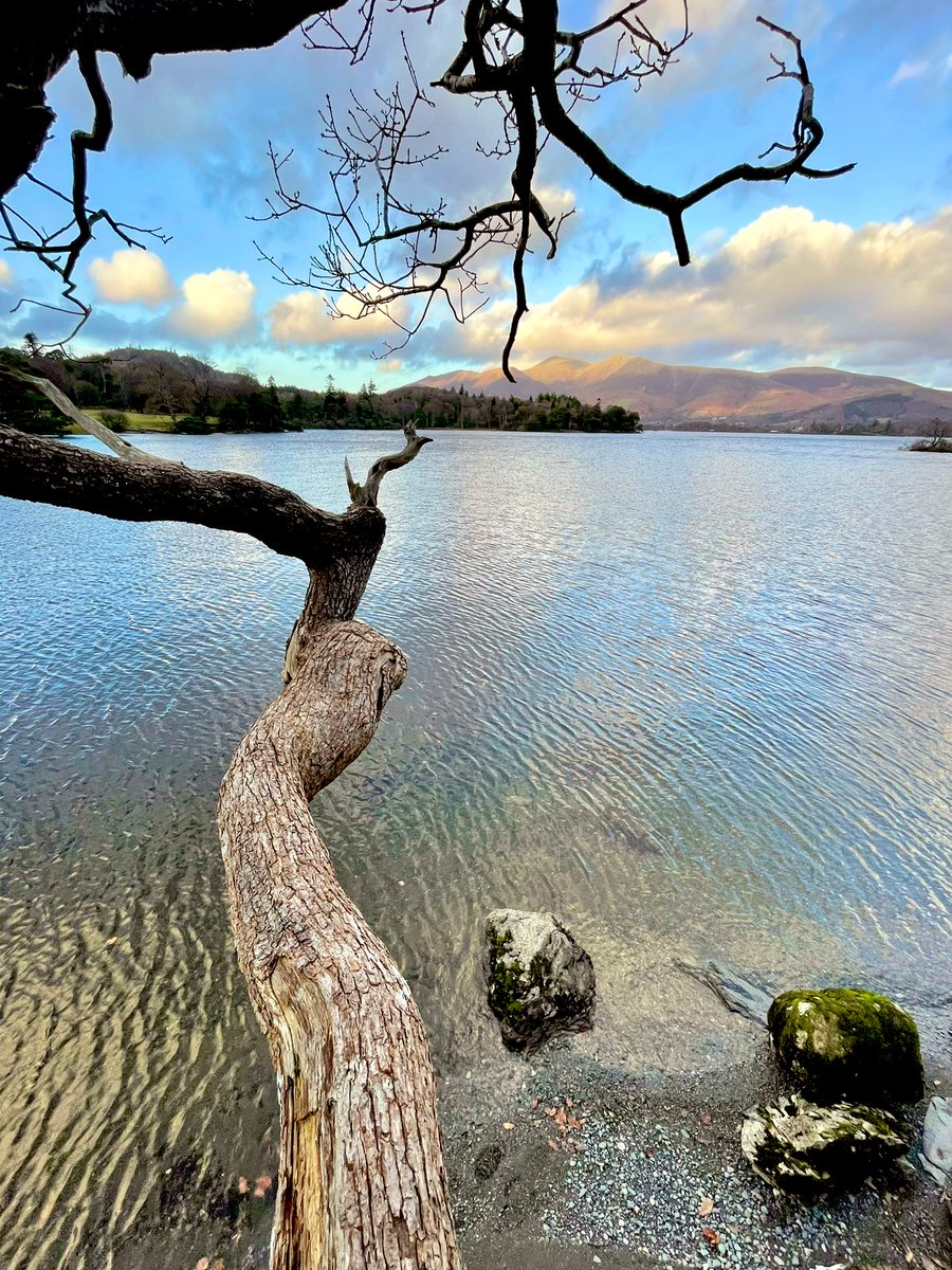 balugamedia.co.uk tweet media