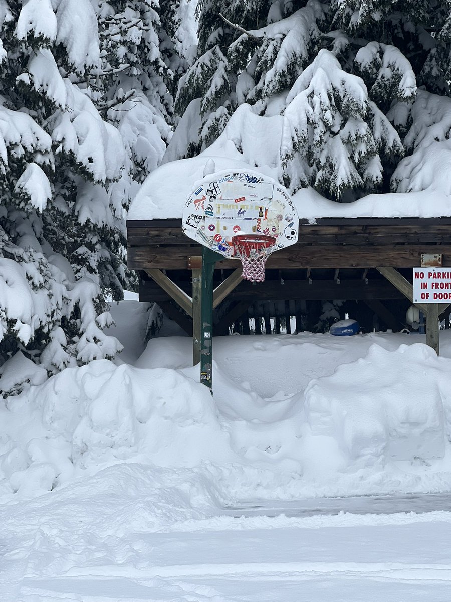 boldtrainingco's tweet image. Hoop of the day 🏀