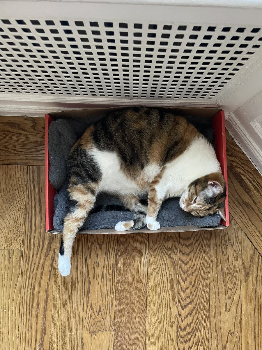 holamanda's tweet photo. Gotta stick out the chicken leg when you’re just a little too warm https://t.co/3CPpHYuXtq