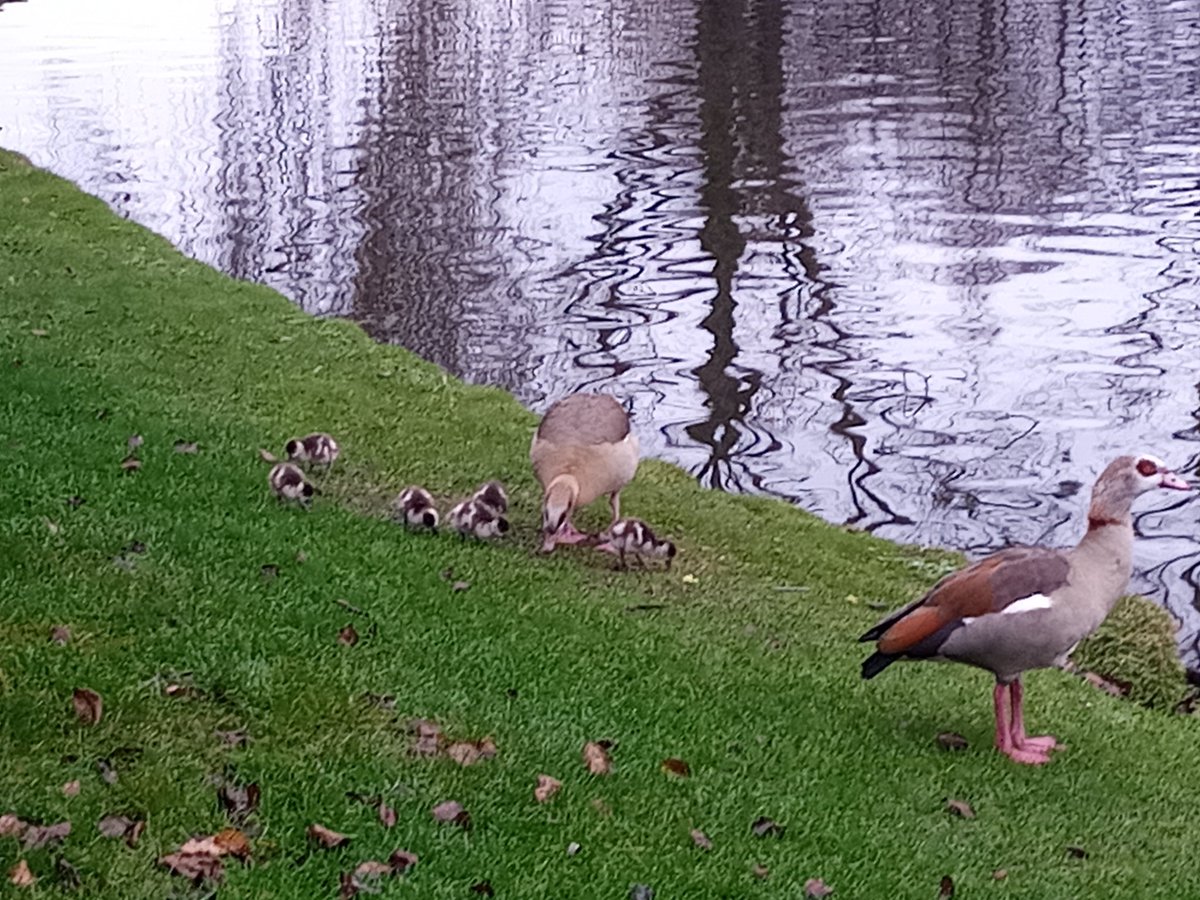 Natuur houdt zich tegen