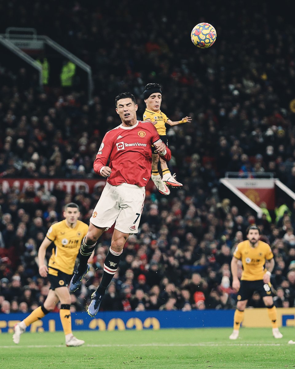 Wolves Español tweet media