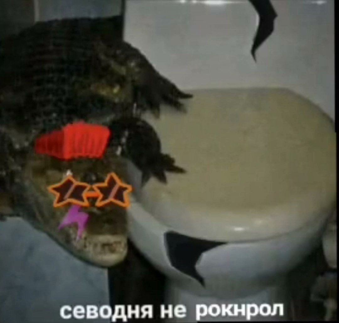 sharkno4u's tweet photo. Мы с режимом не совместимы https://t.co/RoqKDkOqmJ