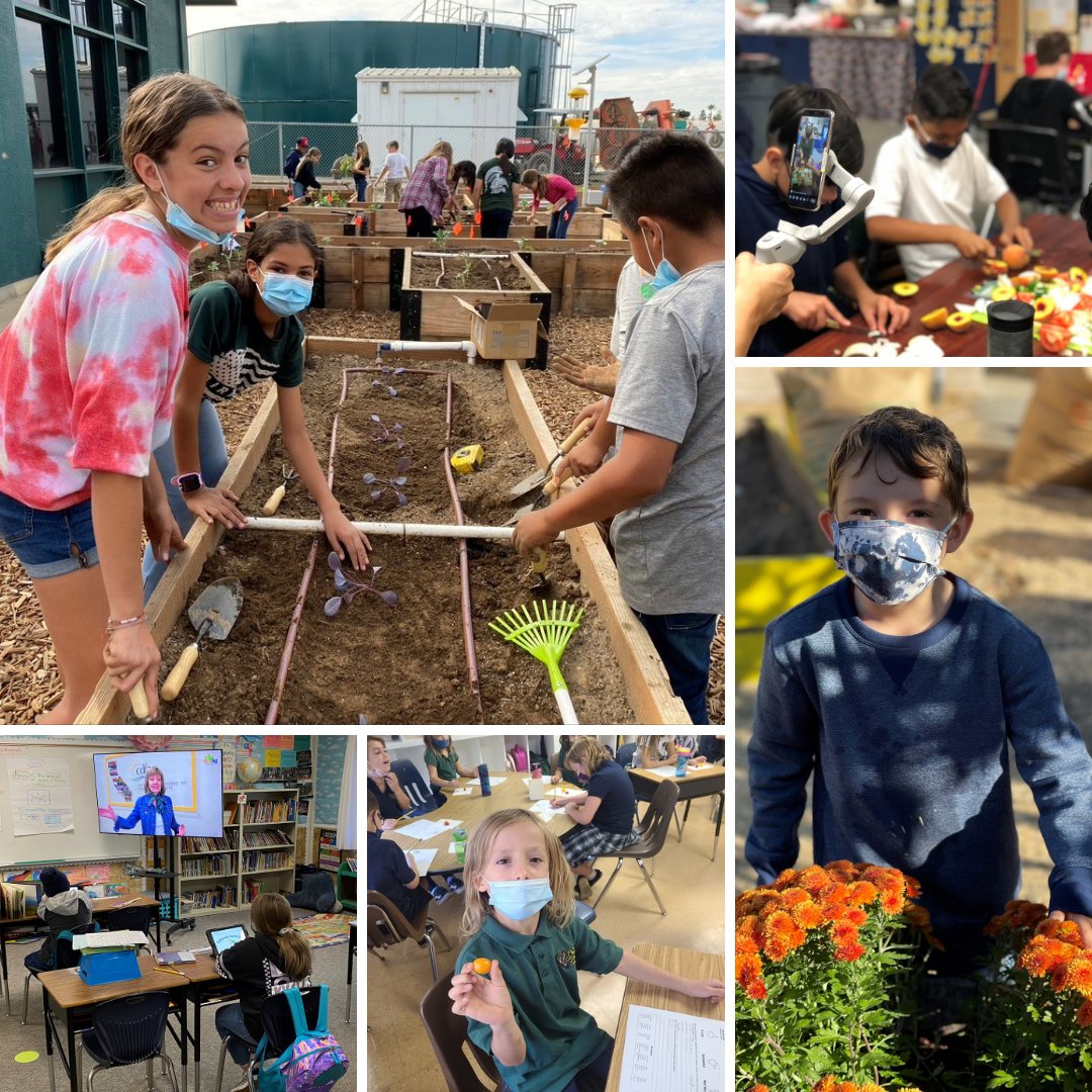 LearnAboutAg's tweet photo. New Year but same goal…helping you #LearnaboutAg. Here’s a glimpse of how agriculture made its way into classrooms across California last year. We’d love to see your ag in action in 2022. Send us your photos! Get details how here: https://t.co/iJZxFpypnW https://t.co/vlWjSXoeaP