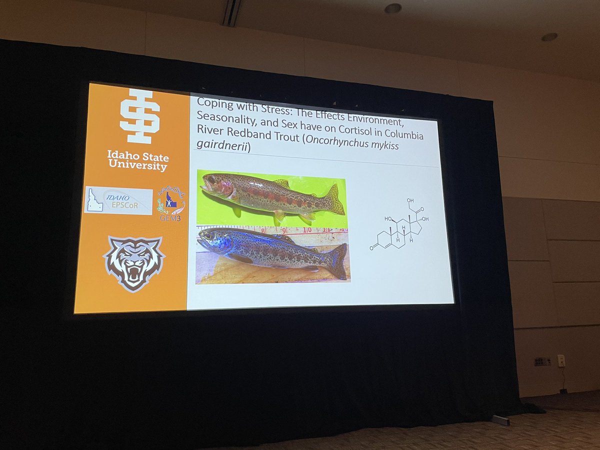 SICB_DCE's tweet photo. Happening now #beststudentpresentation https://t.co/EM0sV7Tsi0
