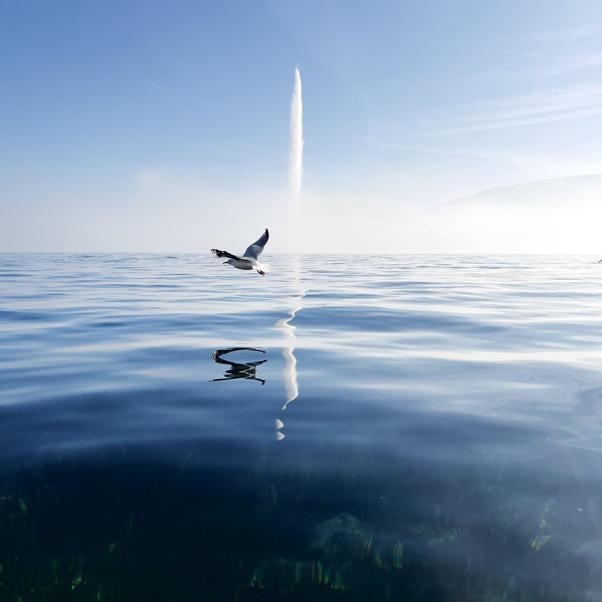 Take off in 2022 #NFTphotographers #NFTartists