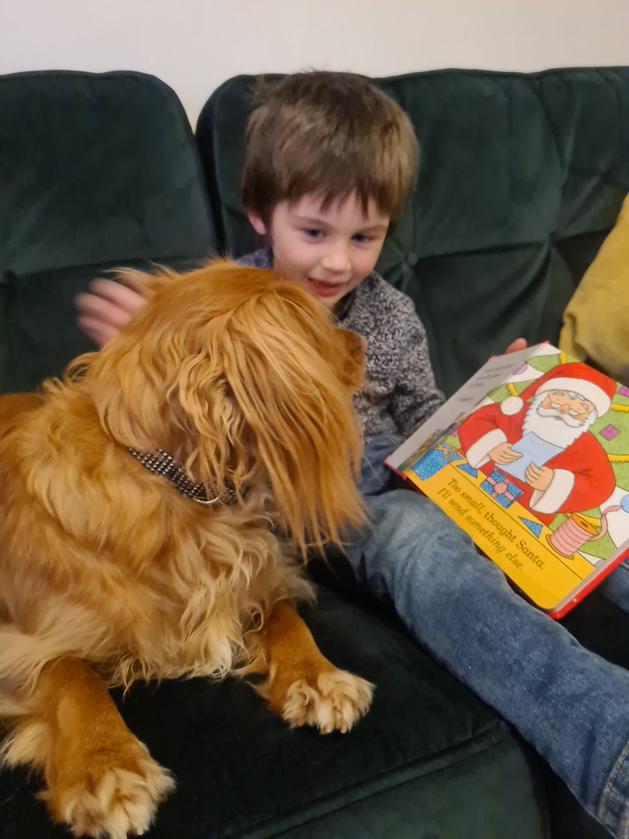 Lei_83's tweet photo. Reading a Christmas Story and Reading to a Pet! @CHPSrec #CHPSReading https://t.co/xkYBaRFLKG