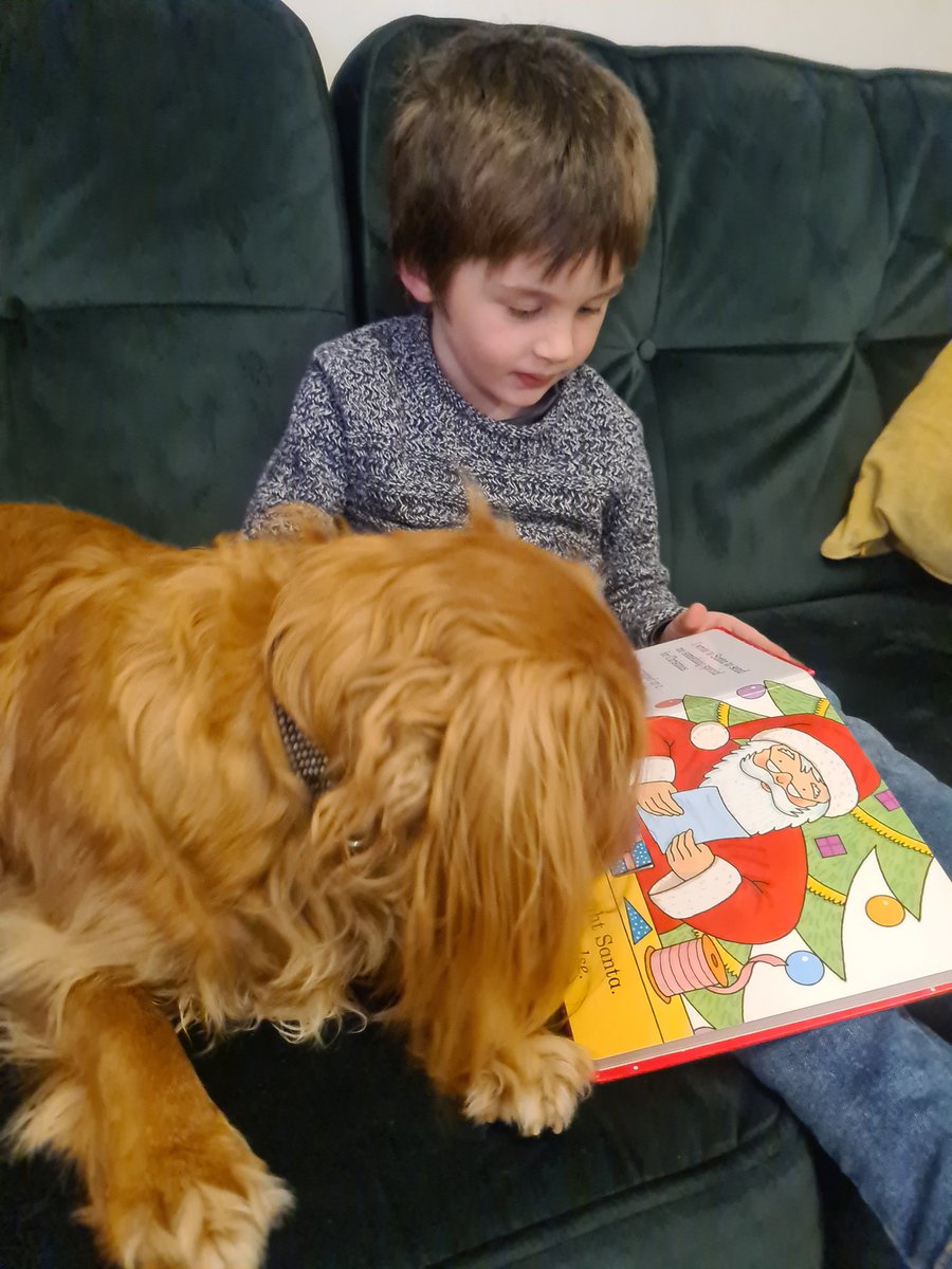 Lei_83's tweet photo. Reading a Christmas Story and Reading to a Pet! @CHPSrec #CHPSReading https://t.co/xkYBaRFLKG