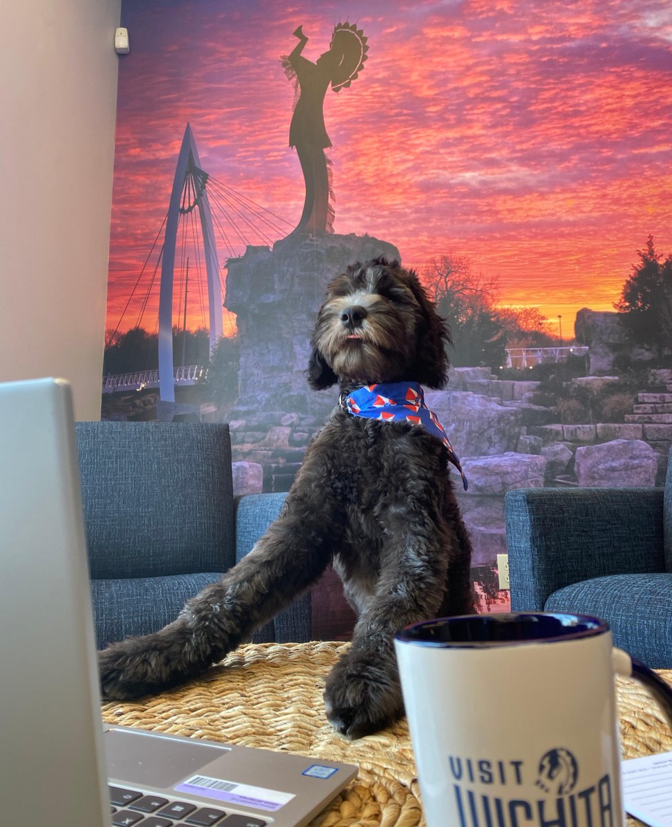 J1Midwest's tweet photo. Stop in the @VisitWichita Visitors Center for information on what to do in the #heartofthecountry and some snuggles from Gemma, the office dog. #doglovers https://t.co/5X0AnzfuDj