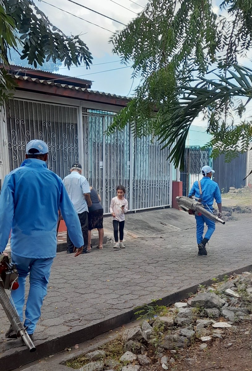 M5Juana's tweet photo. #Nicaragua
@el19digital 
@UnUt04 
Uve Julio Buitrago LM1 en Recidencial Las Mercedes Estamos confirmando el trabajo del Minsa cumpliendo con la fumigacion casa a casa siempre atraves de nuestro buen gobierno el Comandante Daniel y la compañera Rosario Murillo. https://t.co/m0mWGQ3r5G