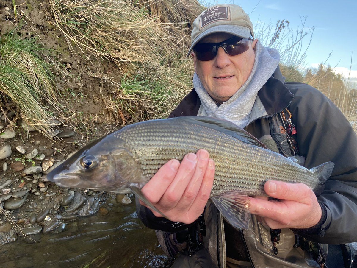 FishOnProductions tweet media