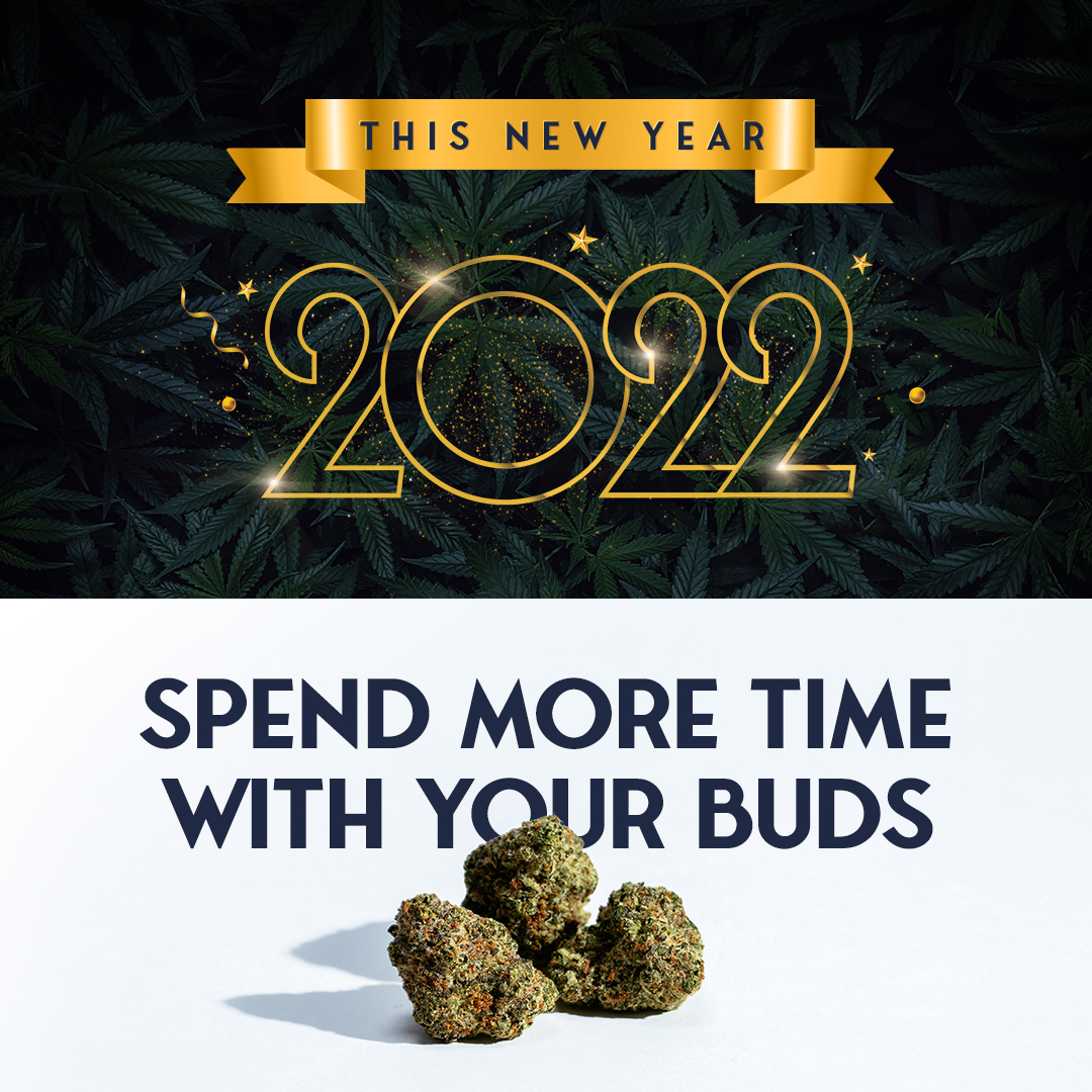 New Year's Resolution! Come see us more!