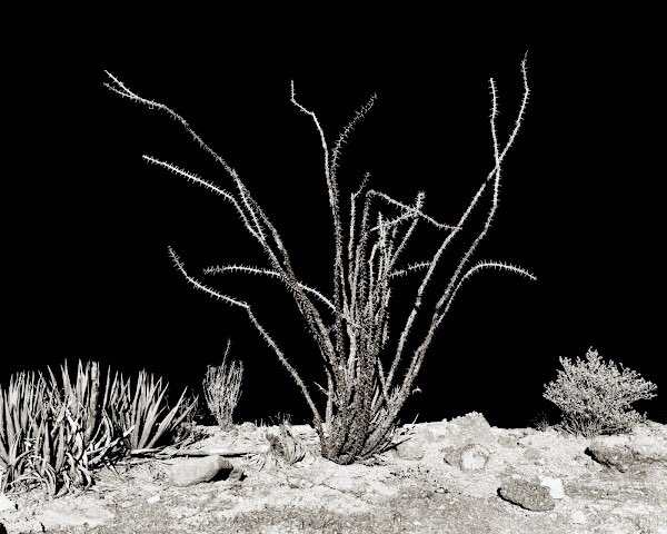 CalebJagger's tweet image. Thank you NFT community:)

Sold 7 NFTs from my Landscape series.  There are still a few left but hurry :)!

(Link @) opensea.io/collection/far… via @opensea #NFT #NFTs #NFTCommmunity #nftcollector #NFTCommunity #eth #btc #art #blockchain #Metaverse #opensea #OpenSeaNFT #NFTartists