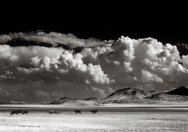 CalebJagger's tweet image. Thank you NFT community:)

Sold 7 NFTs from my Landscape series.  There are still a few left but hurry :)!

(Link @) opensea.io/collection/far… via @opensea #NFT #NFTs #NFTCommmunity #nftcollector #NFTCommunity #eth #btc #art #blockchain #Metaverse #opensea #OpenSeaNFT #NFTartists