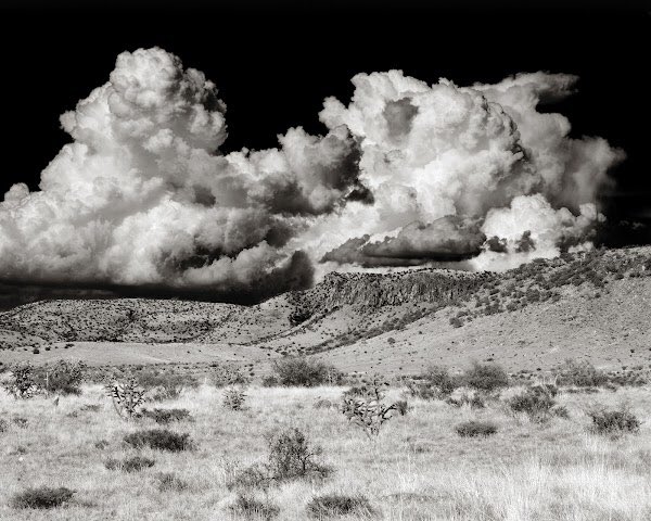 CalebJagger's tweet image. Thank you NFT community:)

Sold 7 NFTs from my Landscape series.  There are still a few left but hurry :)!

(Link @) opensea.io/collection/far… via @opensea #NFT #NFTs #NFTCommmunity #nftcollector #NFTCommunity #eth #btc #art #blockchain #Metaverse #opensea #OpenSeaNFT #NFTartists