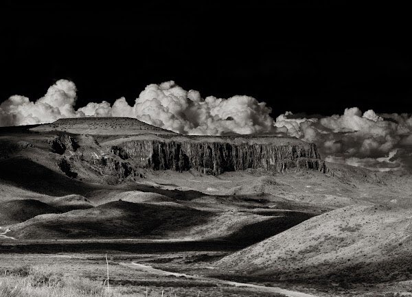 CalebJagger's tweet image. Thank you NFT community:)

Sold 7 NFTs from my Landscape series.  There are still a few left but hurry :)!

(Link @) opensea.io/collection/far… via @opensea #NFT #NFTs #NFTCommmunity #nftcollector #NFTCommunity #eth #btc #art #blockchain #Metaverse #opensea #OpenSeaNFT #NFTartists