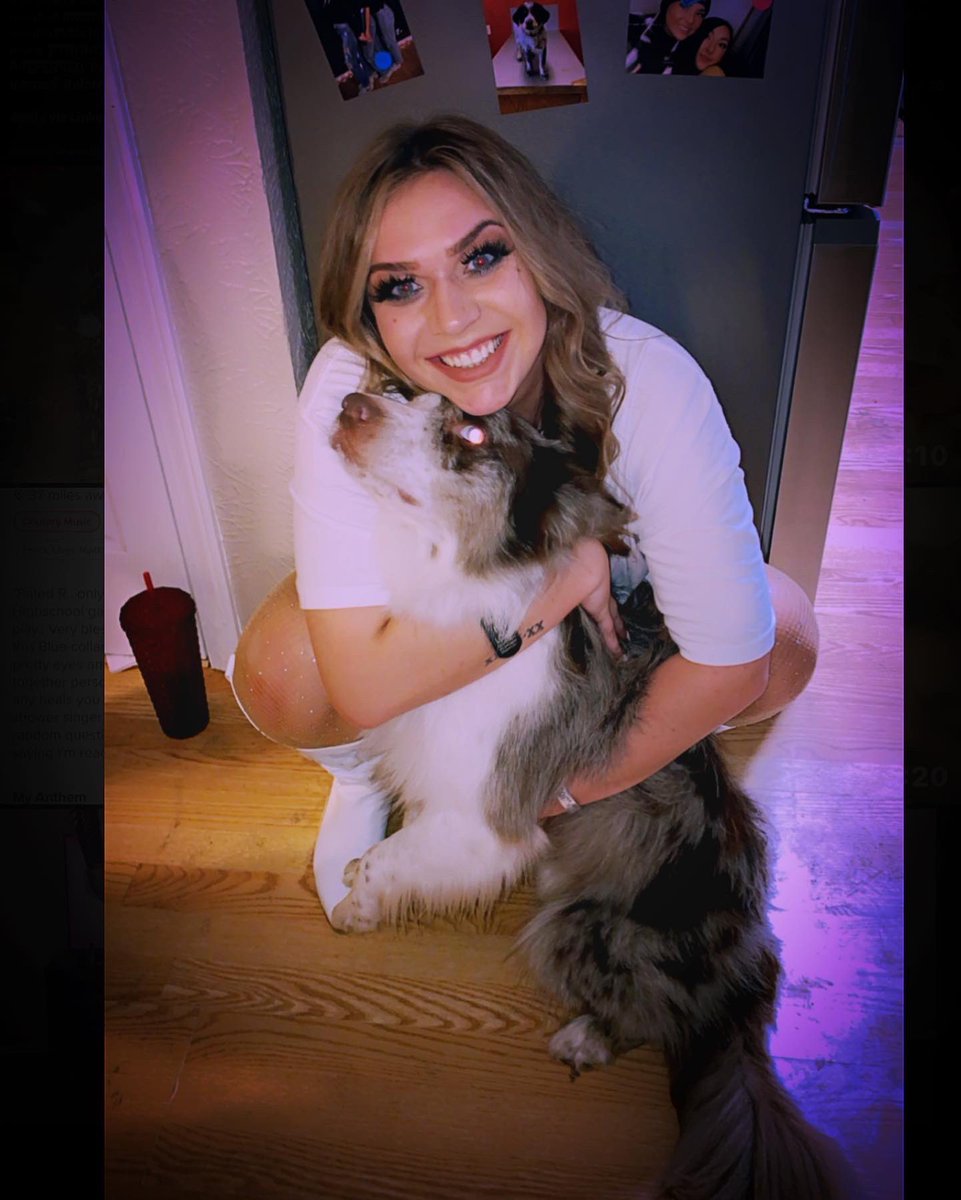 Daytin Christian tweet media