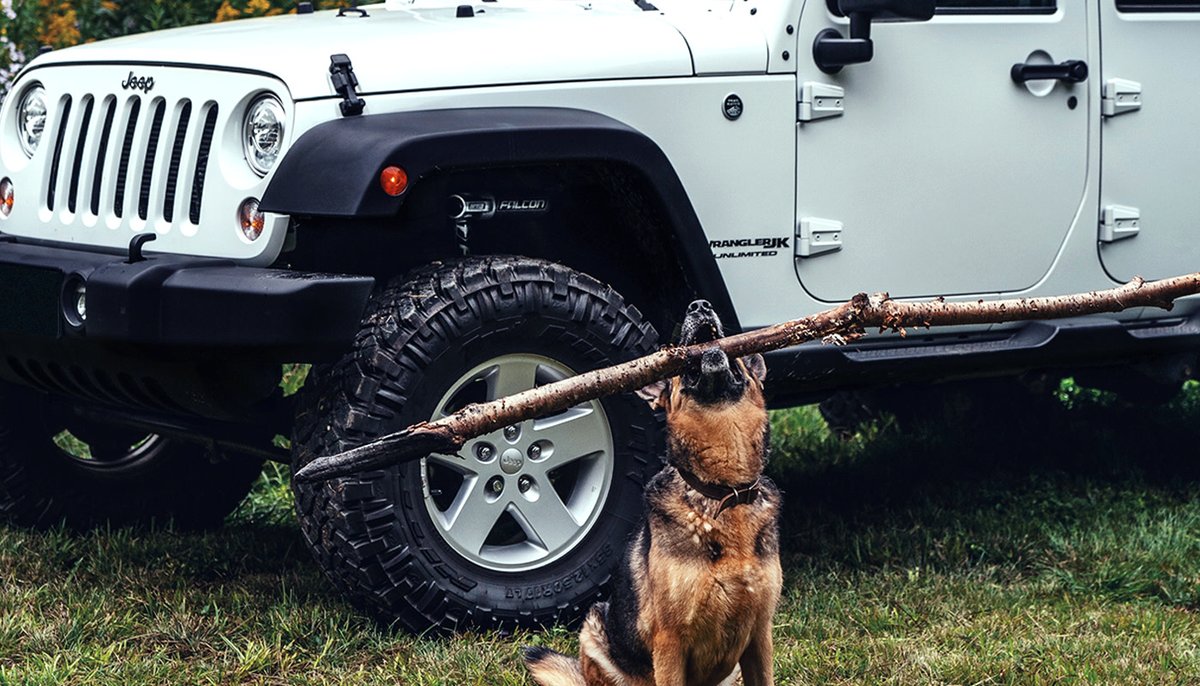 Jeep's tweet photo. Camp. Ride. Play. Welcome to the #JeepLife

📸: Bri S. https://t.co/MTFoR7q2SD