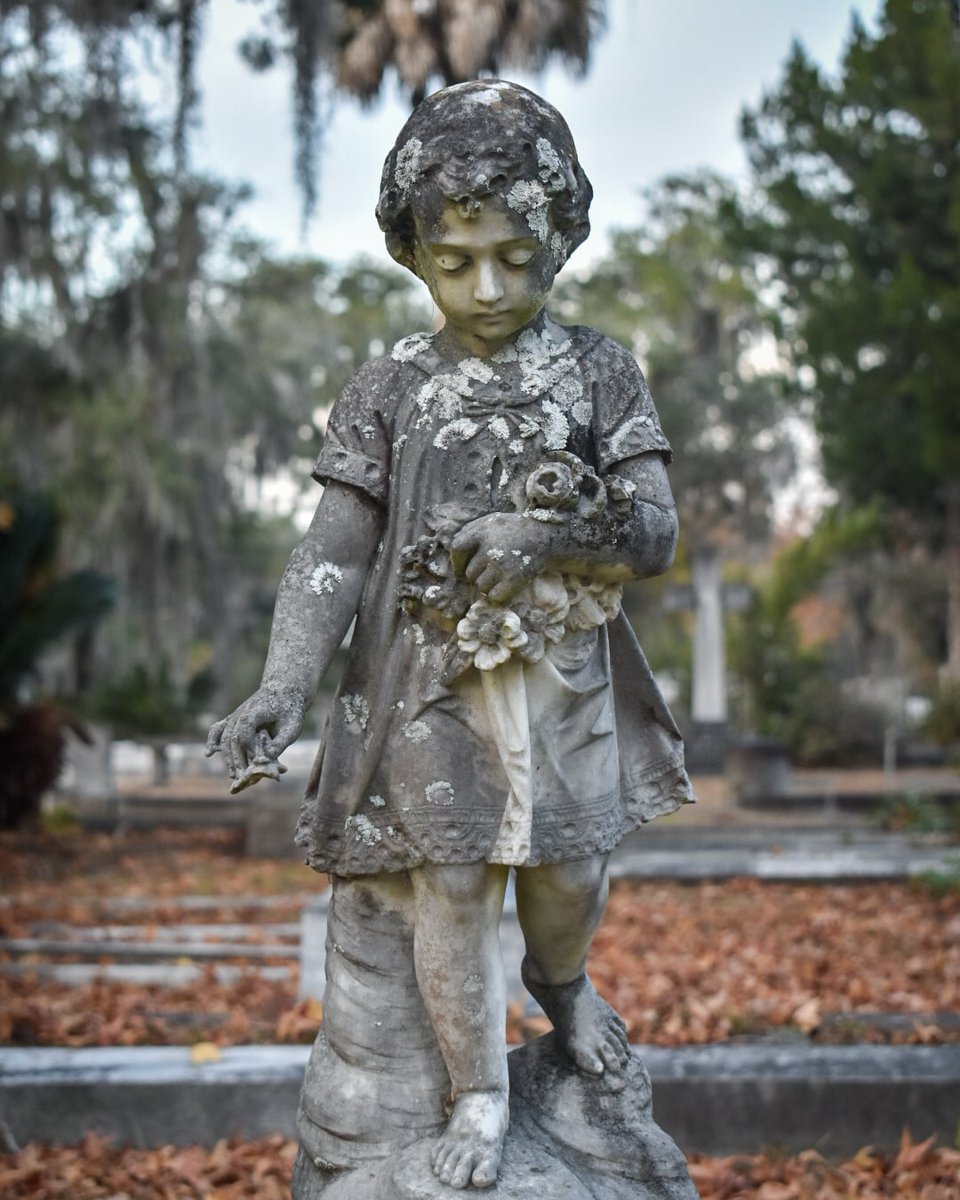 Bonaventure cemetery ya'll!