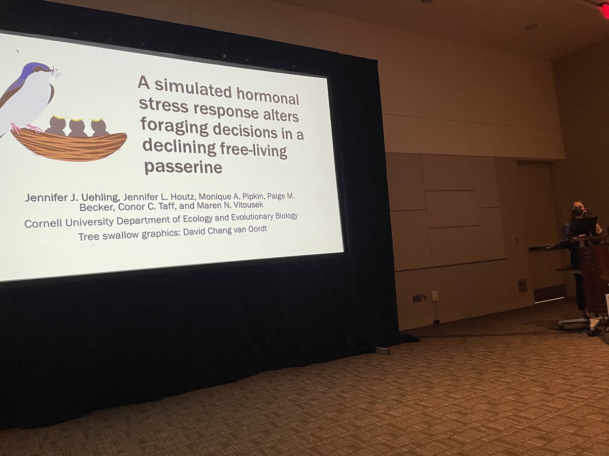 SICB_DCE's tweet photo. #beststudentpresentation #DCE happening now https://t.co/aMvKP6HIXV