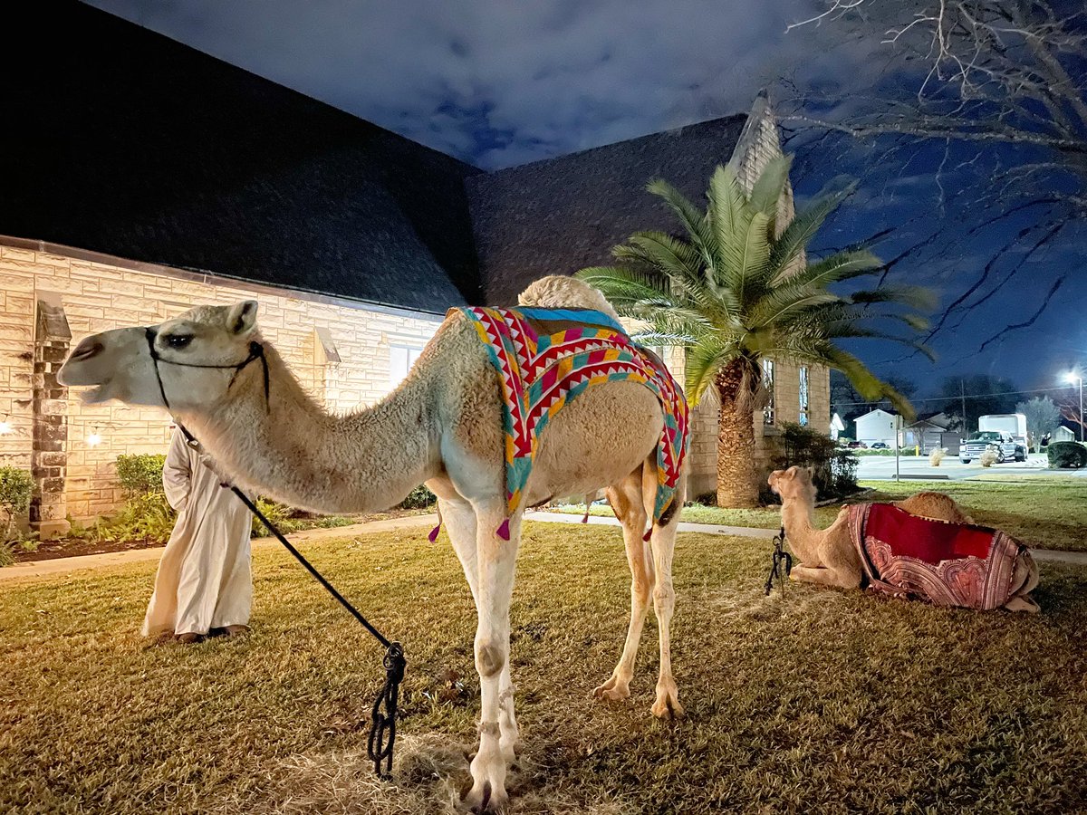 stalbanswaco's tweet photo. Thursday: Epiphany Evensong @ 5:30 PM, followed by camels and cocoa on the side lawn. Don’t miss it! https://t.co/gLoi1tAwR2