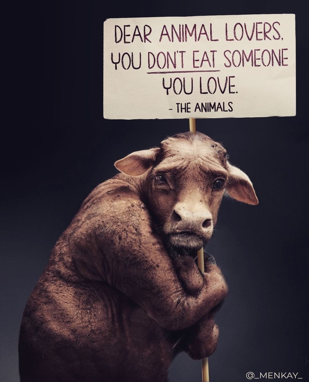 Vegan FTA on Twitter: Vegan FTA on Twitter: