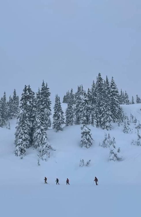 coastalkells's tweet photo. 2022 started with a crispy ski tour in the Callaghan valley ❄️☃️ what a way to start the year ⛷ https://t.co/1DJi18AVuS