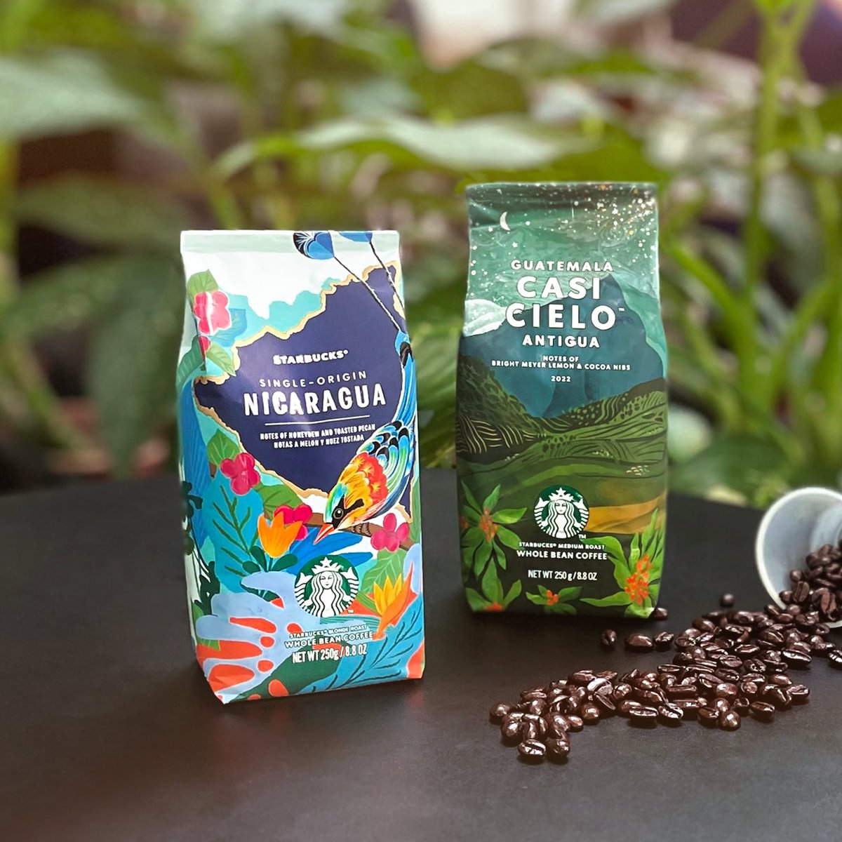 A Blonde Roast fan? Try Single-origin Nicaragua with notes of