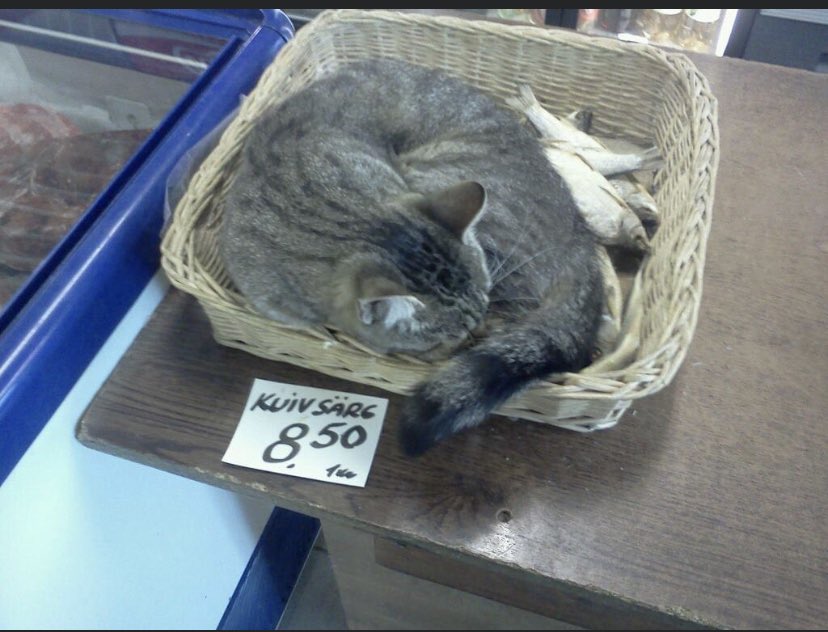 KodanikTaalmann's tweet photo. Kunagi oli Aespa kauplus, seal oli kuivatatud särje hind 8,50€/kg ja kolm paid. https://t.co/kyO5zyAata