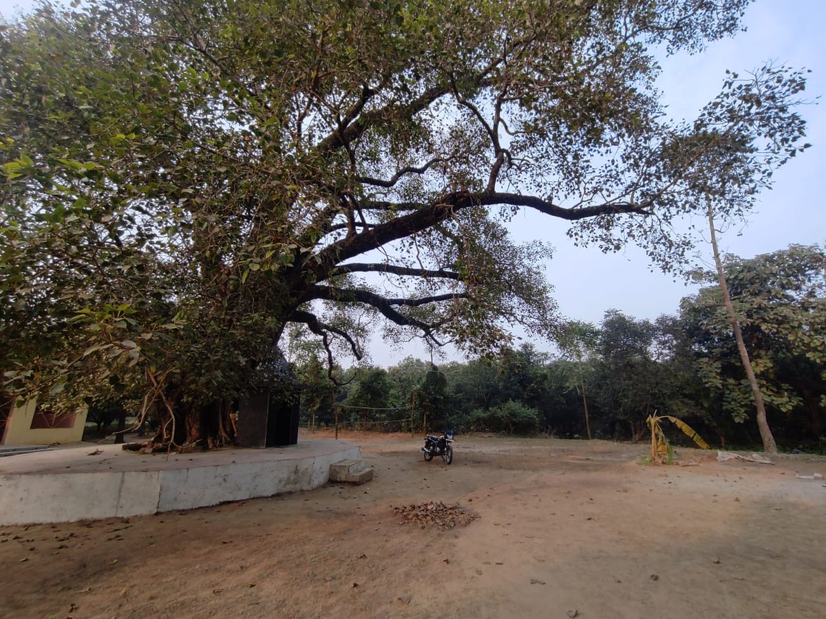AbodeOfLakshmi's tweet photo. Here are few pics from Jangleshwar Mahadev Mandir vill  Manjhi  near Chandrika Devi , #UttarPradesh 
#TempleSeries 
One of my close contacts is there for next few months. No electricity is available there, managing on rechargeable lights. https://t.co/ILGcbmOanY