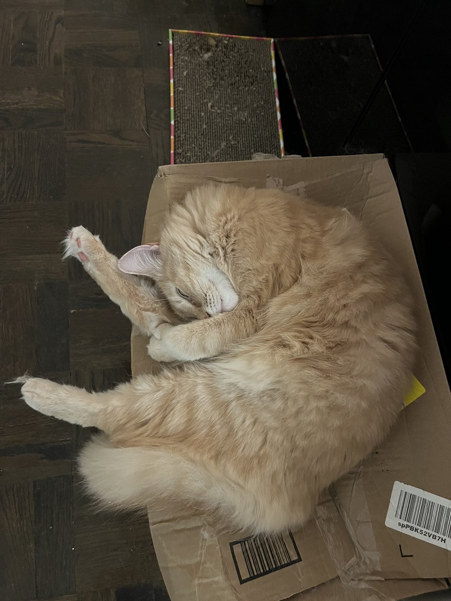 Josh Trebach, MD tweet media